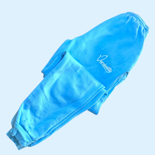 Sky Blue Cuffed Tracksuit Bottoms