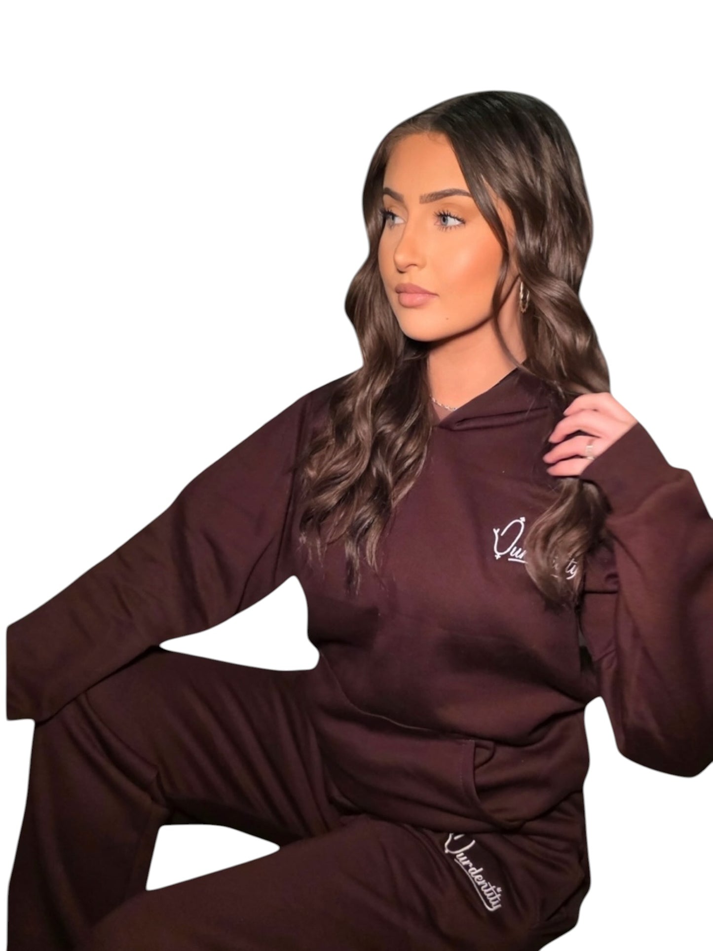 Signature Brown Hoodie
