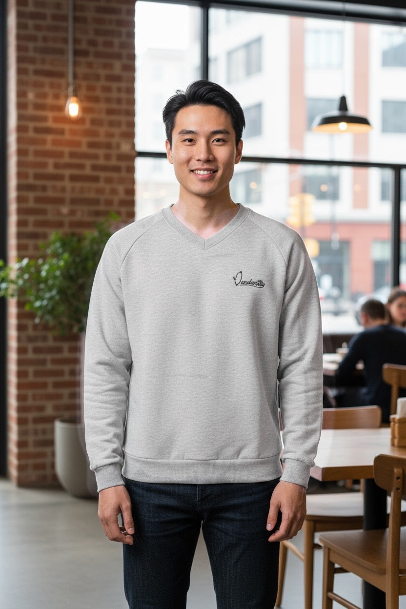 Silver Grey V Neck Jumper